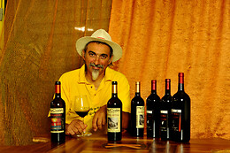 McCalin vini artigianali