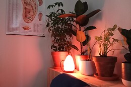 Refeel reflexology