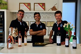 Azienda Vinicola Valetti