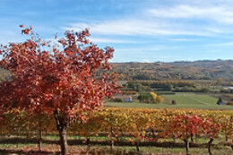 Cascina Perfumo