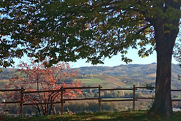 Cascina Perfumo