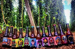 VINOS O BEER/ TAPROOM DE VAMOS A BEER/ QUE PASA MAJA!