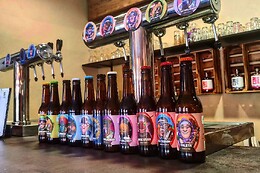 VINOS O BEER/ TAPROOM DE VAMOS A BEER/ QUE PASA MAJA!