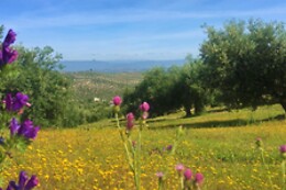 LA BIODIVERSA