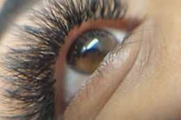 KATERINA LASHES