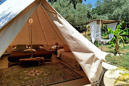 Golden Camp