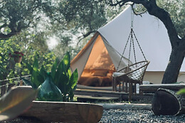 Golden Camp