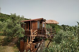 Golden Camp