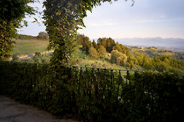 CANTINE LUZI DONADEI FABIANI
