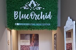 BlueOrchid, Instituto Holístico & Ayurveda