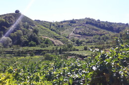 Società Agricola Casarotto