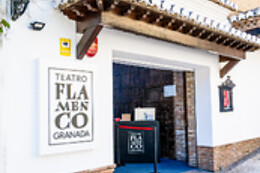 TEATRO FLAMENCO GRANADA
