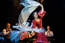 TEATRO FLAMENCO GRANADA