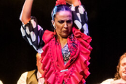 TEATRO FLAMENCO GRANADA