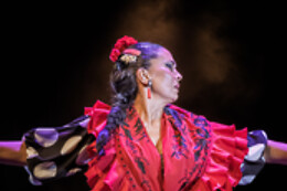 TEATRO FLAMENCO GRANADA