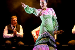 TEATRO FLAMENCO GRANADA