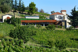 Azienda Agricola Elena Fucci