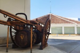 VIRGEN DE LAS VIÑAS