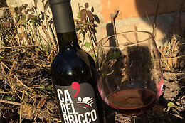 Cascina cà del bricco