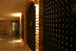 Cantina Peri Bigogno