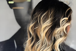Andrea Cunato Saloon
