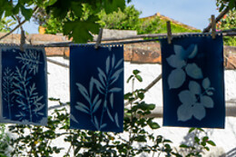 Ora Blu Lab