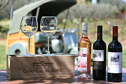 Tenuta Campo al Signore