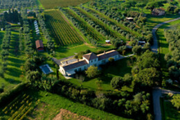Tenuta Campo al Signore