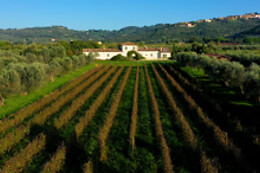 Tenuta Campo al Signore