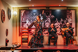 TABLAO FLAMENCO LA CANTAORA