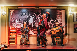 TABLAO FLAMENCO LA CANTAORA