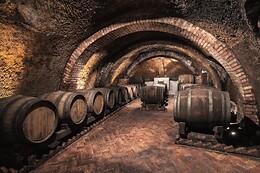Cantine del Notaio