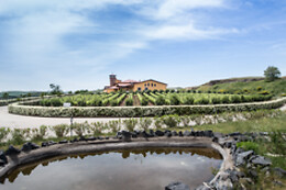 Cantine del Notaio