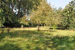 Noortweghe Glamping