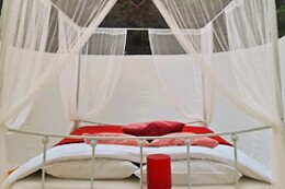 Noortweghe Glamping