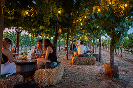 Cantina Costantini