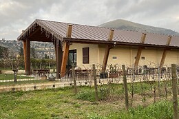 Azienda Agricola Biologica D'Ausilio