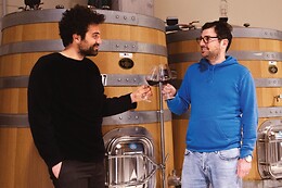 Azienda Agricola Biologica D'Ausilio