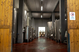 Azienda Agricola Villa Simone