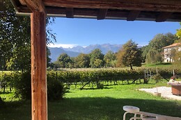 Azienda Agricola Viola