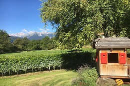Azienda Agricola Viola