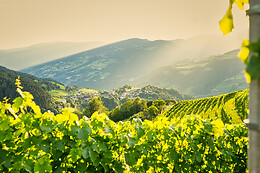 Cantina Valle Isarco