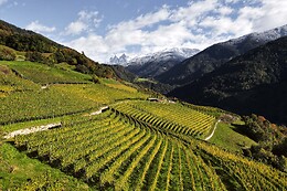 Cantina Valle Isarco