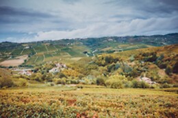 AZIENDA AGRICOLA ABELLONIO ROBERTO CASCINA PICCALUGA