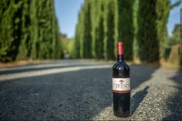 Tenuta Moriano