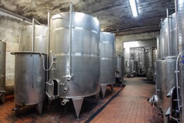 Tenuta Moriano