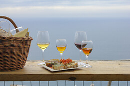 Cantina Capellini