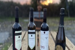 Cantine Capitani