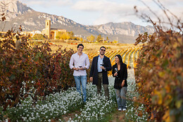 VIÑEDOS Y BODEGAS SIERRA CANTABRIA