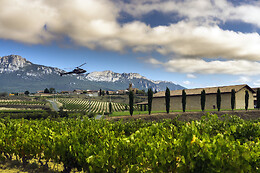 VIÑEDOS Y BODEGAS SIERRA CANTABRIA